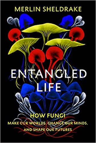 Entangled Life book cover