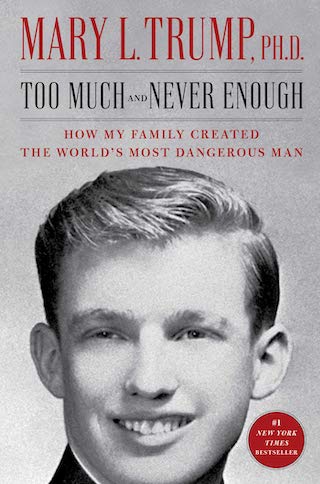 Too Much and Never Enough book cover